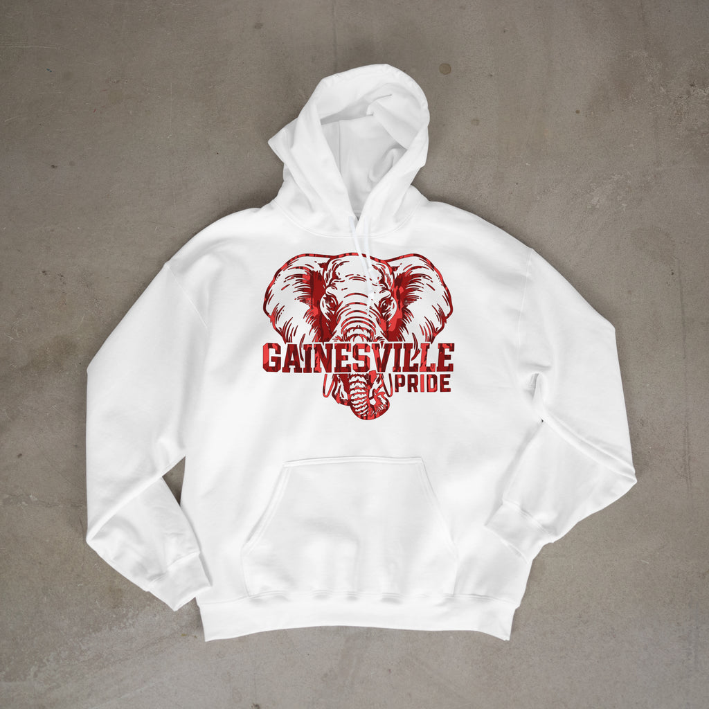 Gainesville Pride Hoodie