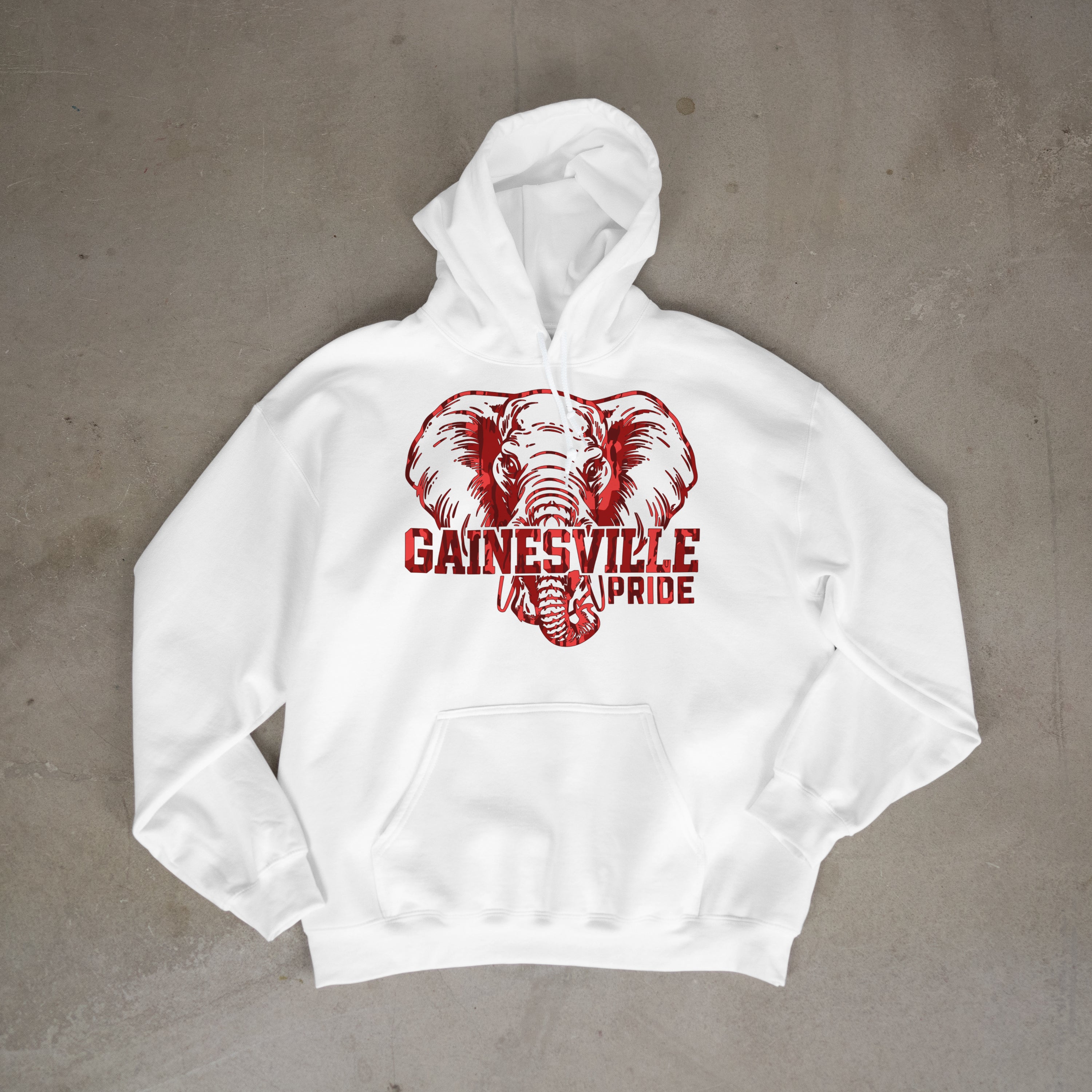 Gainesville Pride Hoodie